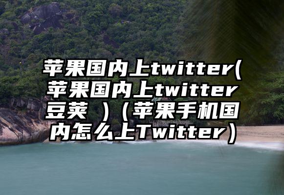 苹果国内上twitter(苹果国内上twitter豆荚 )(苹果手机国内怎么上Twitter)