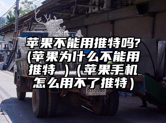 苹果不能用推特吗?(苹果为什么不能用推特 )（苹果手机怎么用不了推特）