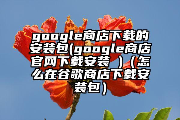 google商店下载的安装包(google商店官网下载安装 )（怎么在谷歌商店下载安装包）