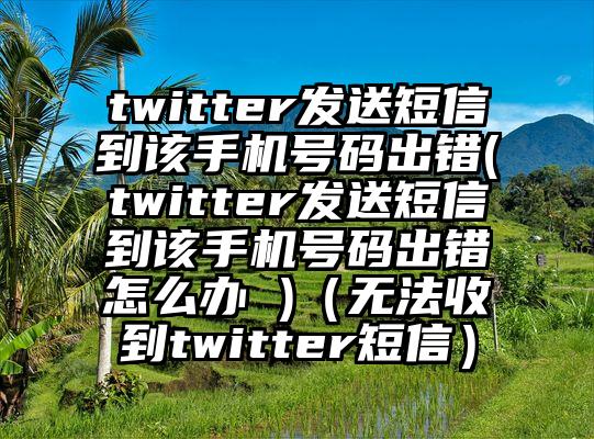 twitter发送短信到该手机号码出错(twitter发送短信到该手机号码出错怎么办 )（无法收到twitter短信）