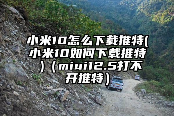 小米10怎么下载推特(小米10如何下载推特 )(miui12.5打不开推特)