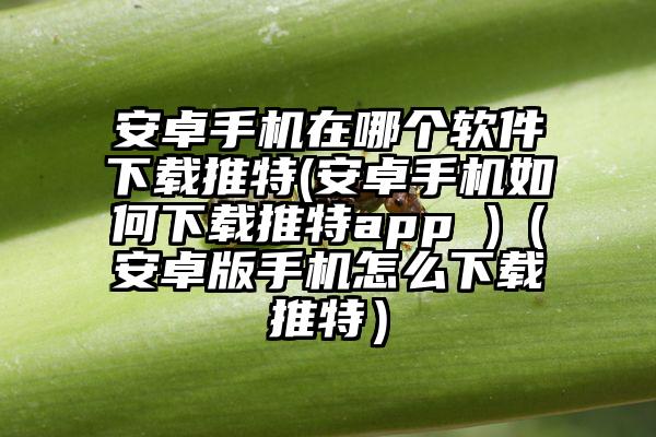 安卓手机在哪个软件下载推特(安卓手机如何下载推特app )（安卓版手机怎么下载推特）