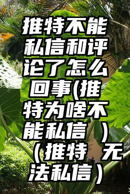 推特不能私信和评论了怎么回事(推特为啥不能私信 )（推特 无法私信）