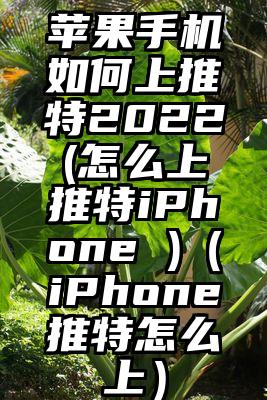 苹果手机如何上推特2022(怎么上推特iPhone )（iPhone推特怎么上）