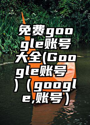 免费google账号大全(Google账号 )（google,账号）