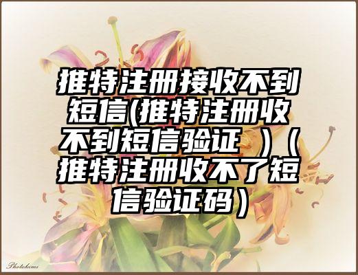 推特注册接收不到短信(推特注册收不到短信验证 )（推特注册收不了短信验证码）