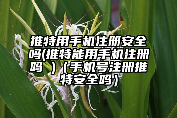 推特用手机注册安全吗(推特能用手机注册吗 )（手机号注册推特安全吗）