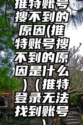 推特账号搜不到的原因(推特账号搜不到的原因是什么 )（推特登录无法找到账号）