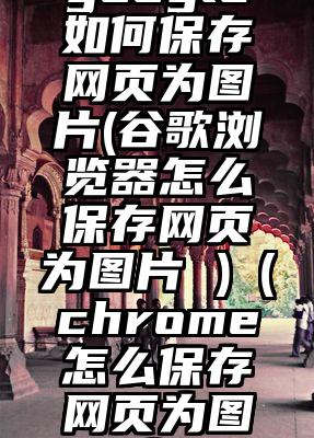 google如何保存网页为图片(谷歌浏览器怎么保存网页为图片 )（chrome怎么保存网页为图片）