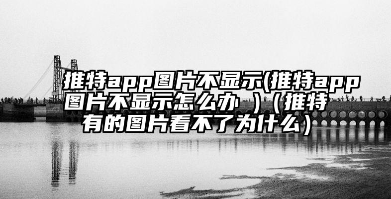 推特app图片不显示(推特app图片不显示怎么办 )（推特有的图片看不了为什么）