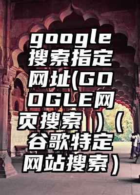 google搜索指定网址(GOOGLE网页搜索 )（谷歌特定网站搜索）