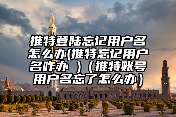 推特登陆忘记用户名怎么办(推特忘记用户名咋办 )（推特账号用户名忘了怎么办）
