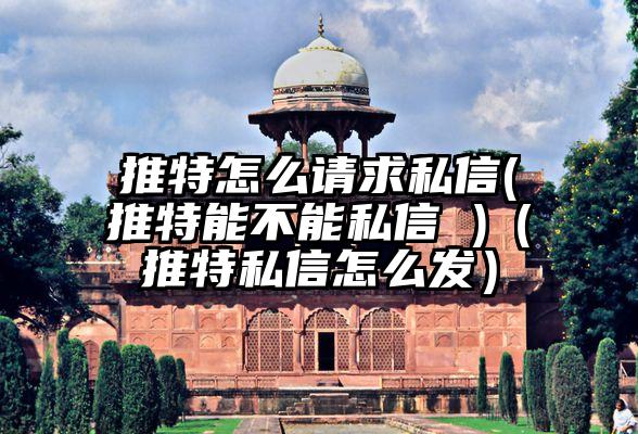 推特怎么请求私信(推特能不能私信 )（推特私信怎么发）