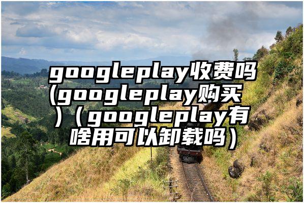 googleplay收费吗(googleplay购买 )（googleplay有啥用可以卸载吗）
