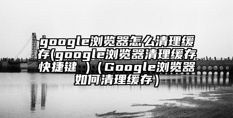 google浏览器怎么清理缓存(google浏览器清理缓存快捷键 )（Google浏览器如何清理缓存）