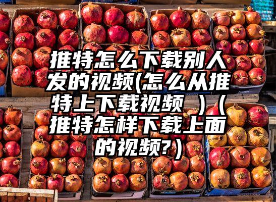 推特怎么下载别人发的视频(怎么从推特上下载视频 )（推特怎样下载上面的视频?）