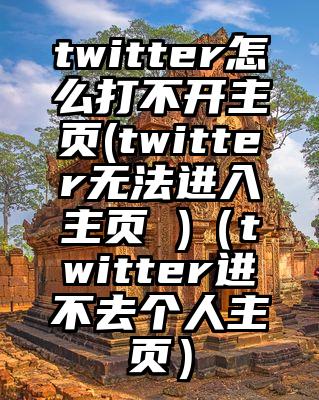 twitter怎么打不开主页(twitter无法进入主页 )(twitter进不去个人主页)