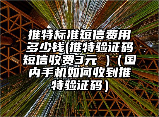 推特标准短信费用多少钱(推特验证码短信收费3元 )(国内手机如何收到推特验证码)