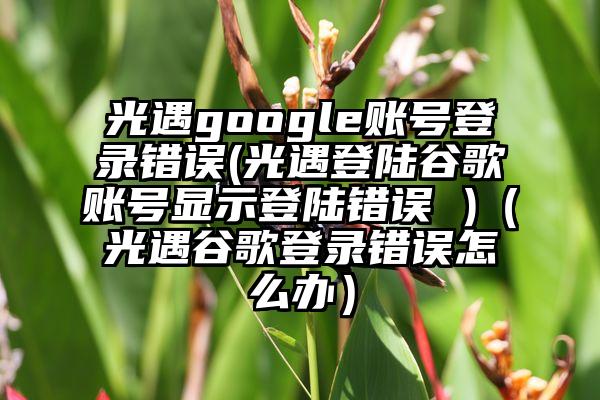 光遇google账号登录错误(光遇登陆谷歌账号显示登陆错误 )（光遇谷歌登录错误怎么办）