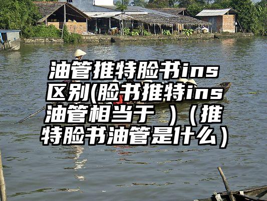 油管推特脸书ins区别(脸书推特ins油管相当于 )（推特脸书油管是什么）
