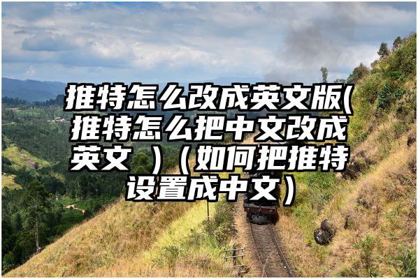 推特怎么改成英文版(推特怎么把中文改成英文 )（如何把推特设置成中文）