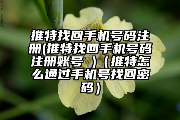 推特找回手机号码注册(推特找回手机号码注册账号 )（推特怎么通过手机号找回密码）