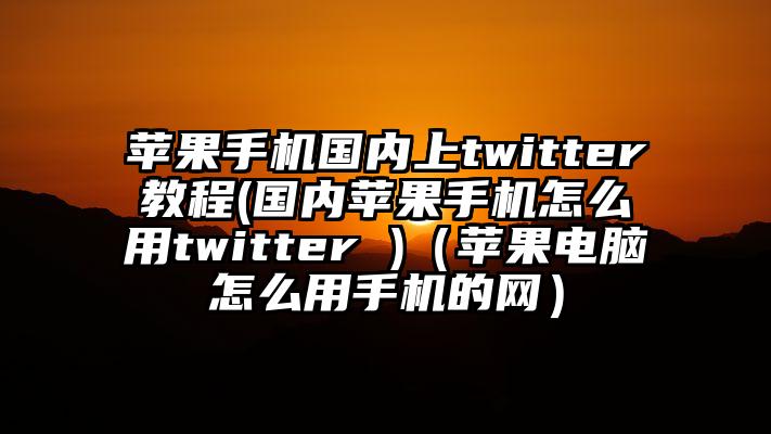 苹果手机国内上twitter教程(国内苹果手机怎么用twitter )（苹果电脑怎么用手机的网）
