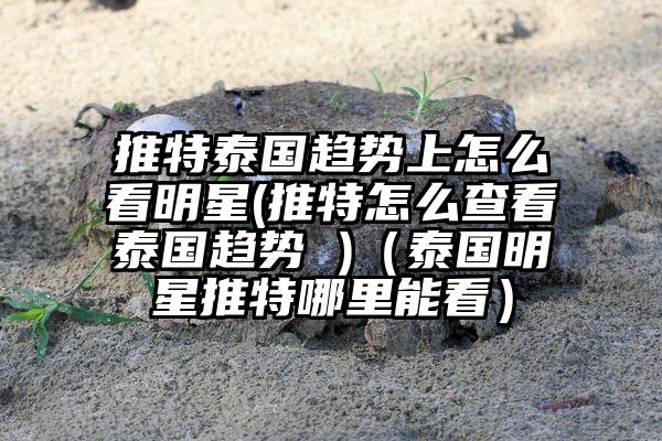 推特泰国趋势上怎么看明星(推特怎么查看泰国趋势 )（泰国明星推特哪里能看）