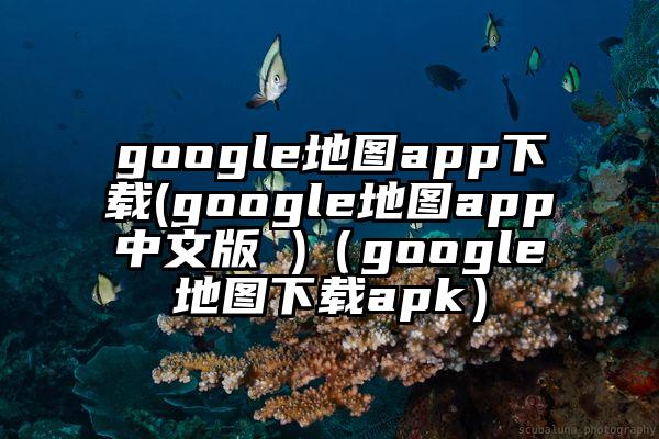google地图app下载(google地图app中文版 )（google地图下载apk）
