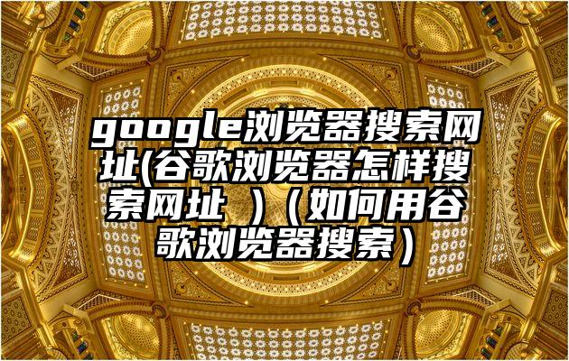 google浏览器搜索网址(谷歌浏览器怎样搜索网址 )（如何用谷歌浏览器搜索）