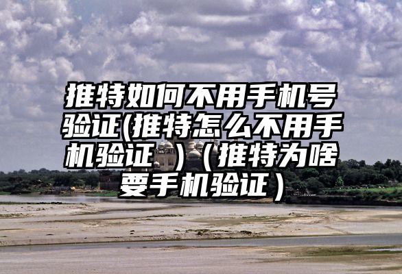 推特如何不用手机号验证(推特怎么不用手机验证 )（推特为啥要手机验证）