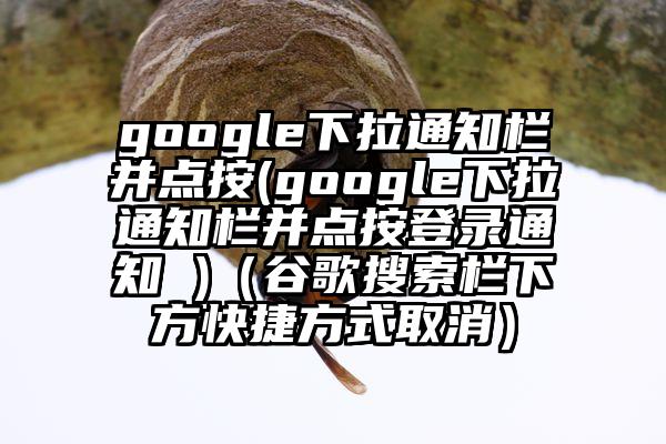 google下拉通知栏并点按(google下拉通知栏并点按登录通知 )（谷歌搜索栏下方快捷方式取消）