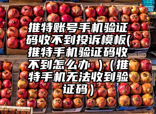 推特账号手机验证码收不到投诉模板(推特手机验证码收不到怎么办 )（推特手机无法收到验证码）