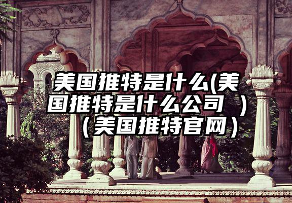 美国推特是什么(美国推特是什么公司 )（美国推特官网）