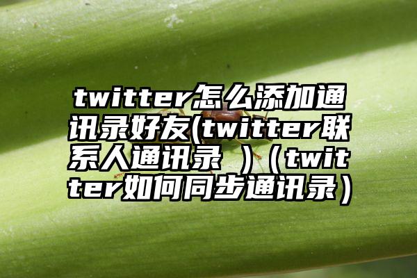 twitter怎么添加通讯录好友(twitter联系人通讯录 )（twitter如何同步通讯录）