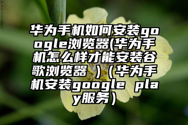华为手机如何安装google浏览器(华为手机怎么样才能安装谷歌浏览器 )(华为手机安装google play服务)