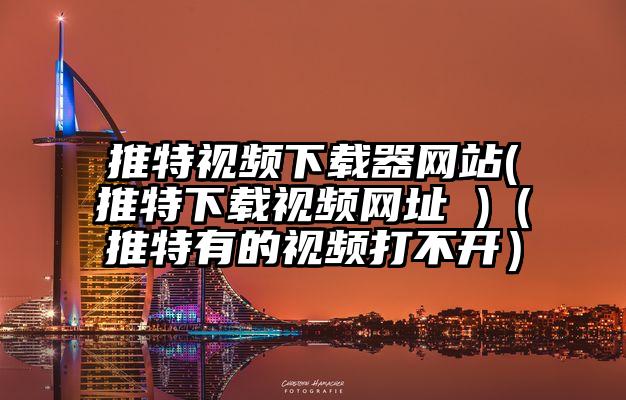 推特视频下载器网站(推特下载视频网址 )（推特有的视频打不开）