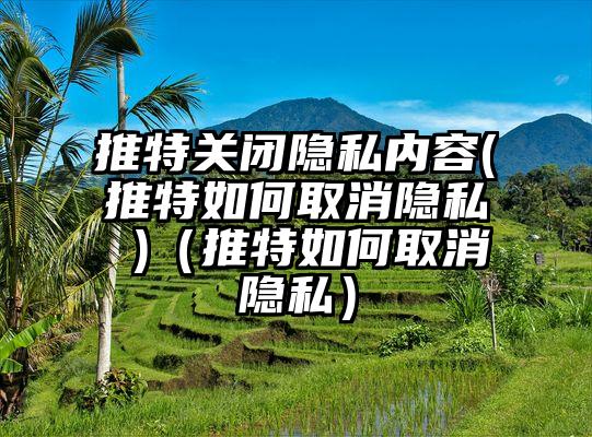 推特关闭隐私内容(推特如何取消隐私 )（推特如何取消隐私）
