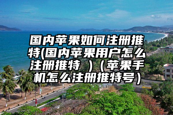 国内苹果如何注册推特(国内苹果用户怎么注册推特 )（苹果手机怎么注册推特号）