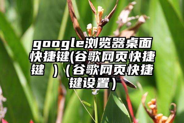 google浏览器桌面快捷键(谷歌网页快捷键 )（谷歌网页快捷键设置）