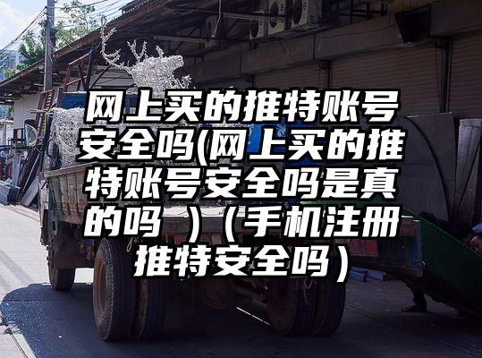 网上买的推特账号安全吗(网上买的推特账号安全吗是真的吗 )（手机注册推特安全吗）