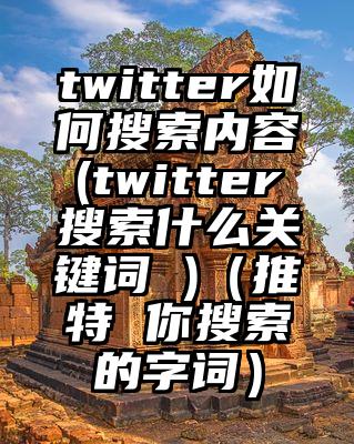 twitter如何搜索内容(twitter搜索什么关键词 )（推特 你搜索的字词）