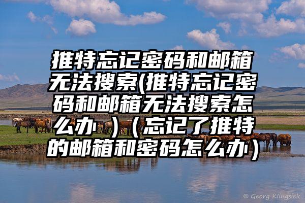 推特忘记密码和邮箱无法搜索(推特忘记密码和邮箱无法搜索怎么办 )（忘记了推特的邮箱和密码怎么办）