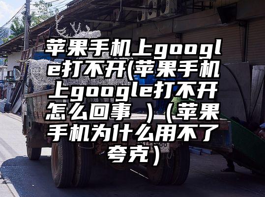 苹果手机上google打不开(苹果手机上google打不开怎么回事 )（苹果手机为什么用不了夸克）