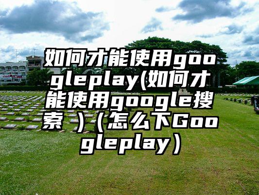 如何才能使用googleplay(如何才能使用google搜索 )（怎么下Googleplay）