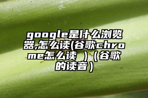 google是什么浏览器,怎么读(谷歌chrome怎么读 )（谷歌的读音）