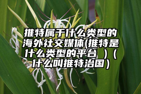 推特属于什么类型的海外社交媒体(推特是什么类型的平台 )（什么叫推特治国）