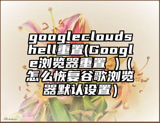 googlecloudshell重置(Google浏览器重置 )（怎么恢复谷歌浏览器默认设置）
