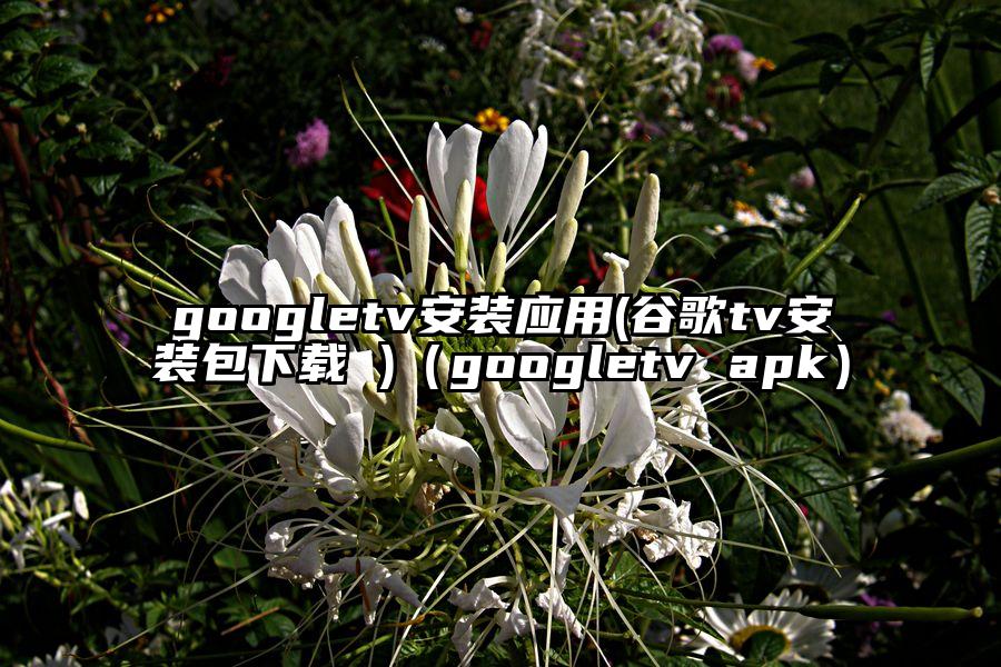 googletv安装应用(谷歌tv安装包下载 )（googletv apk）