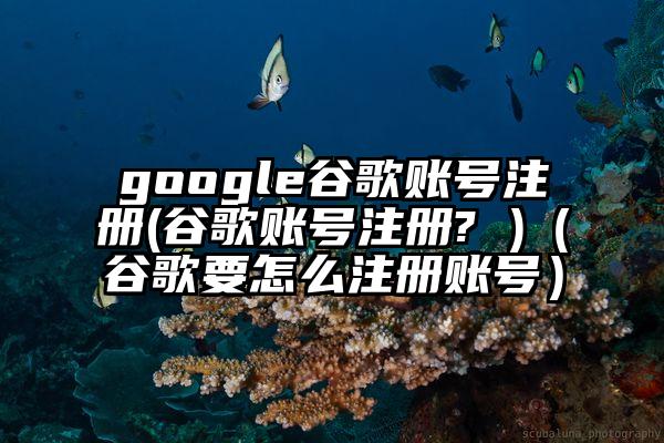 google谷歌账号注册(谷歌账号注册? )（谷歌要怎么注册账号）